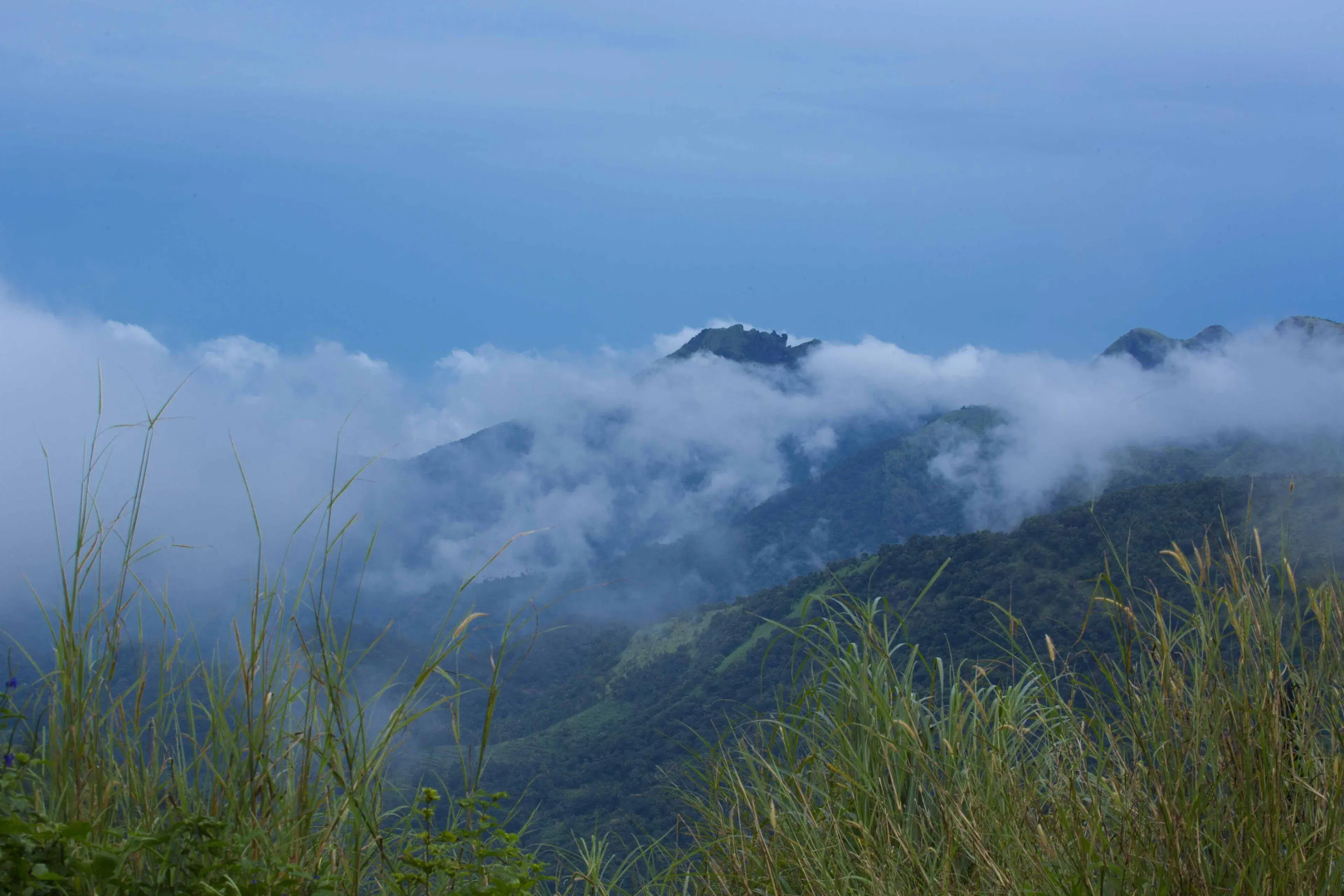 Foggy Knolls Resort