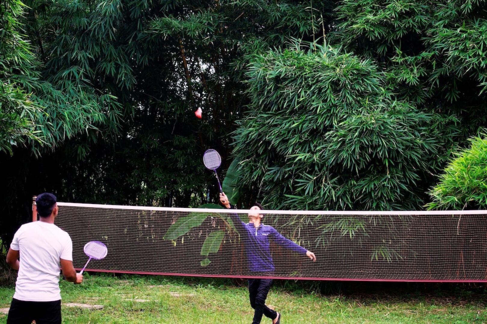 Regenta Resort Aranyaani