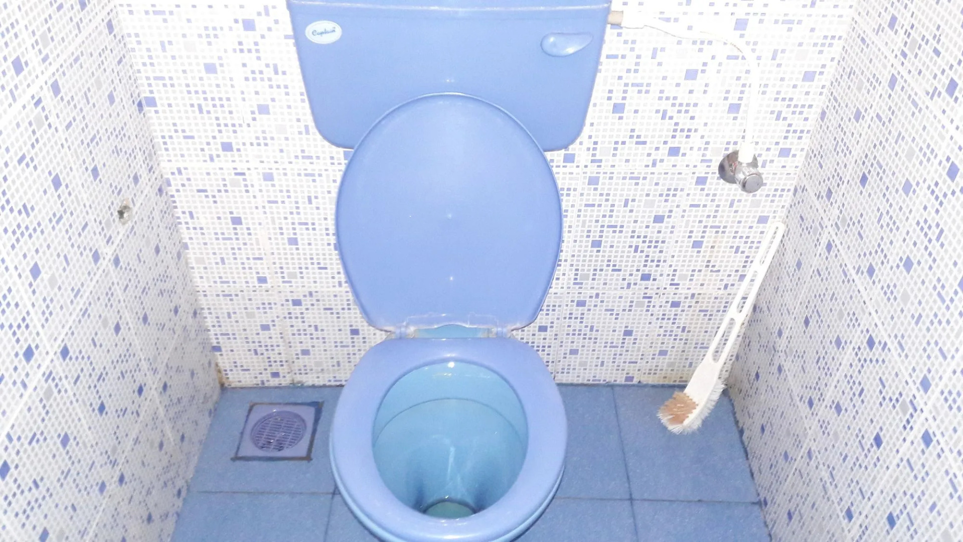 TGI STAR Holidays Yercaud