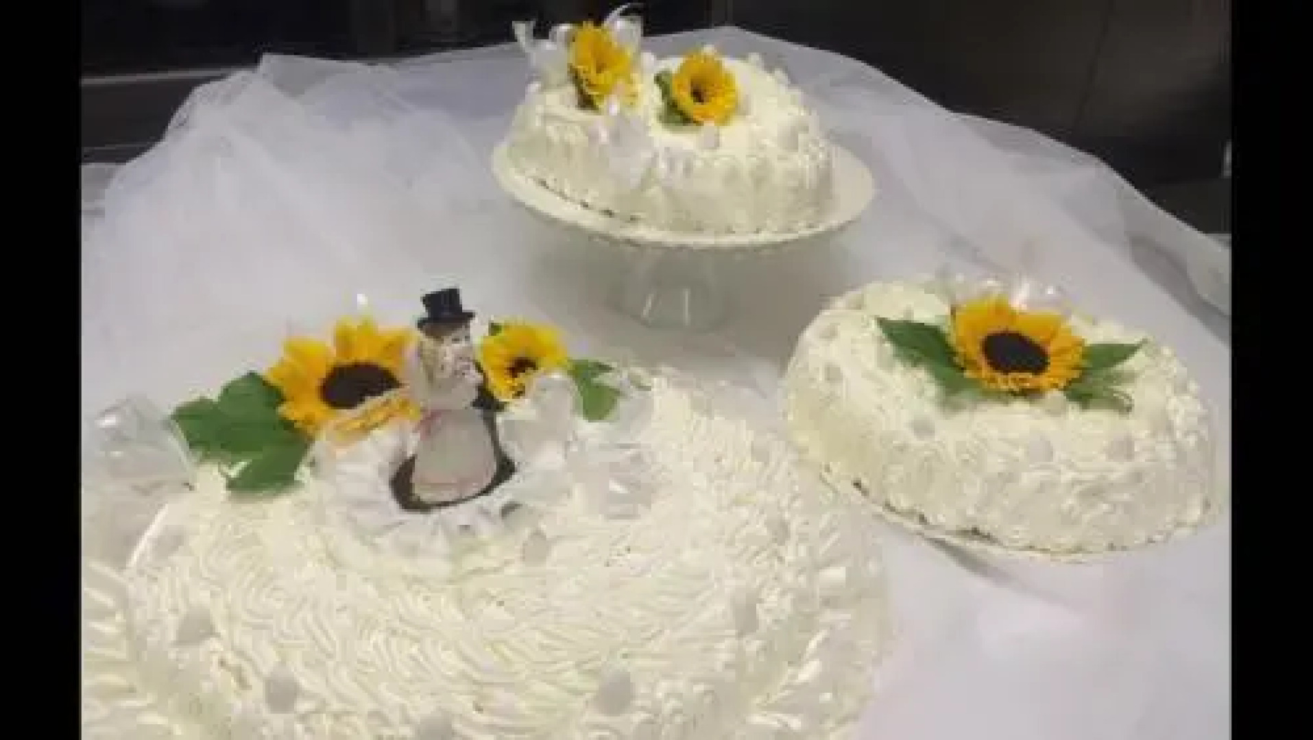 Agriturismo 7 Colonne