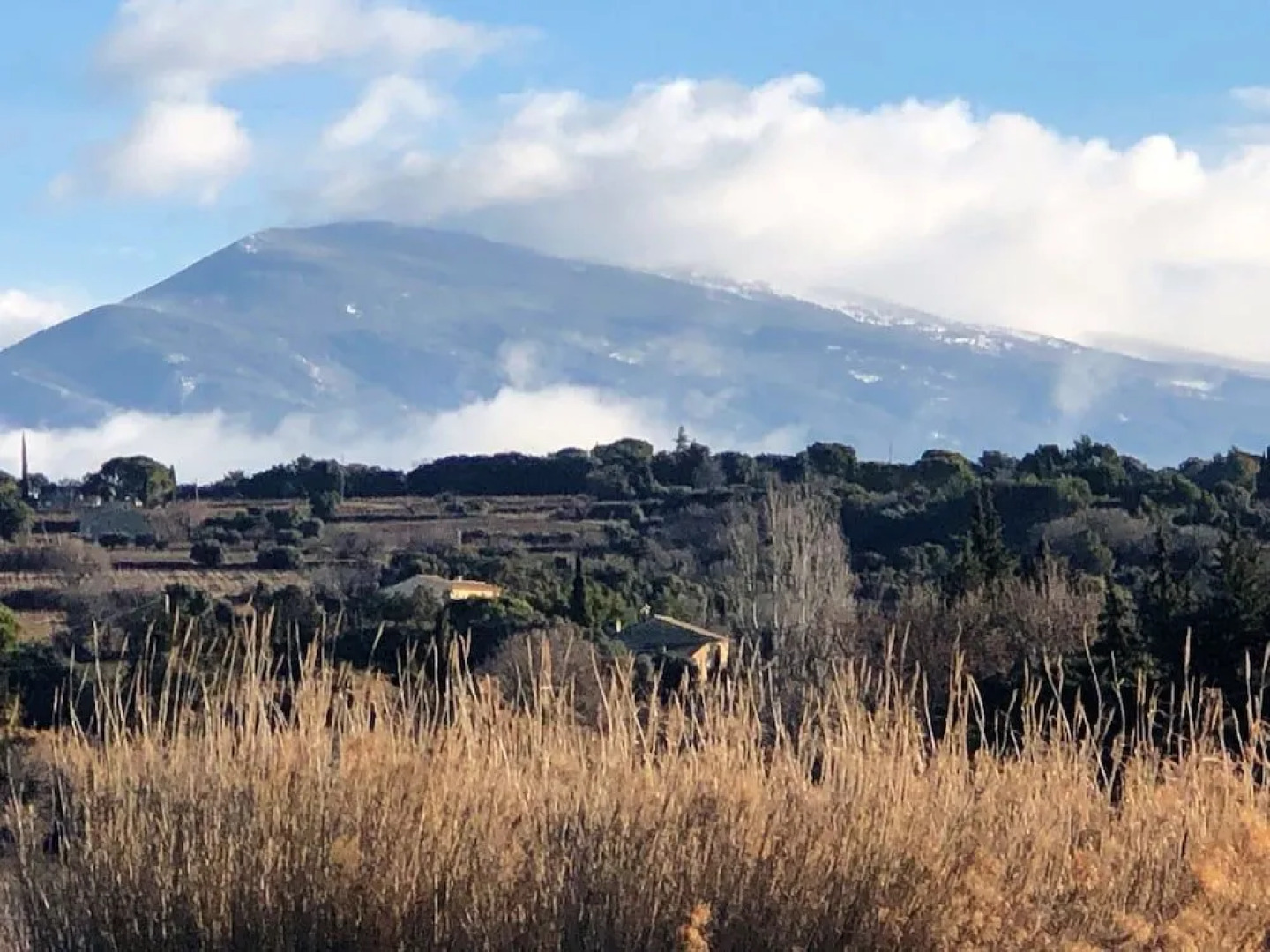 Le Mas au Portail Bleu