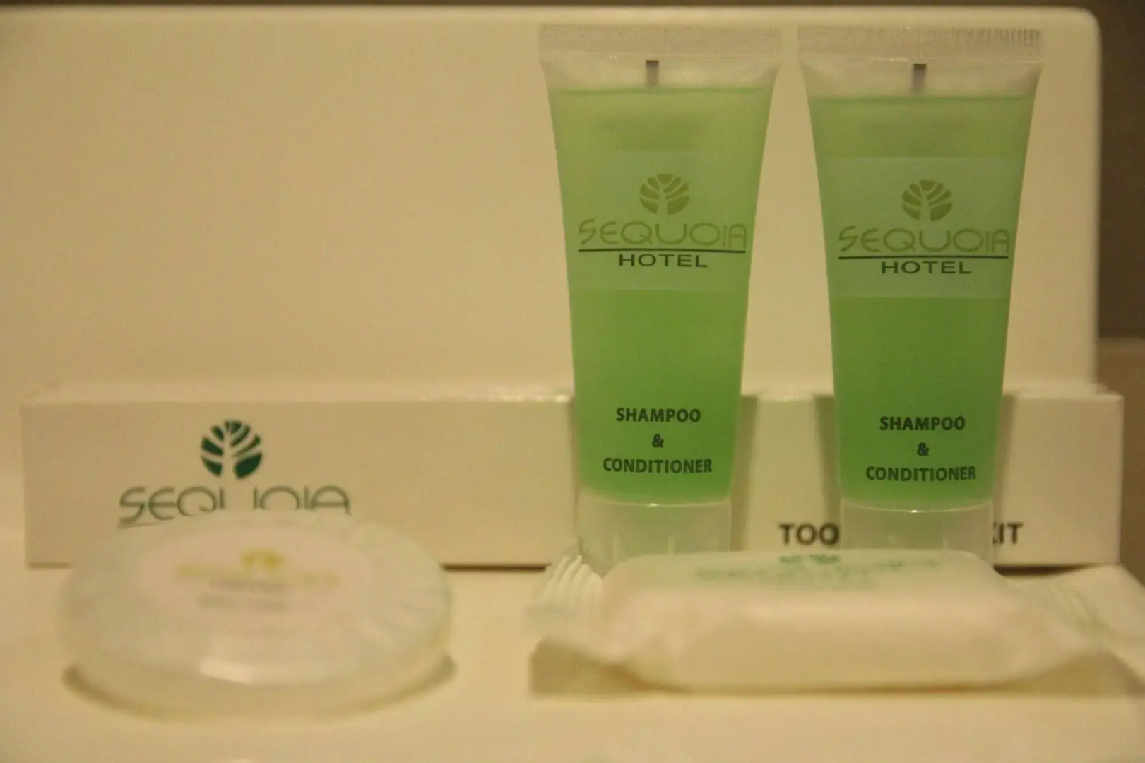 Sequoia Hotel Quezon City