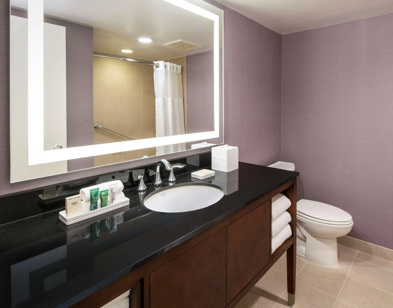 Hilton Washington DC/Rockville Hotel & Executive Meeting Ctr