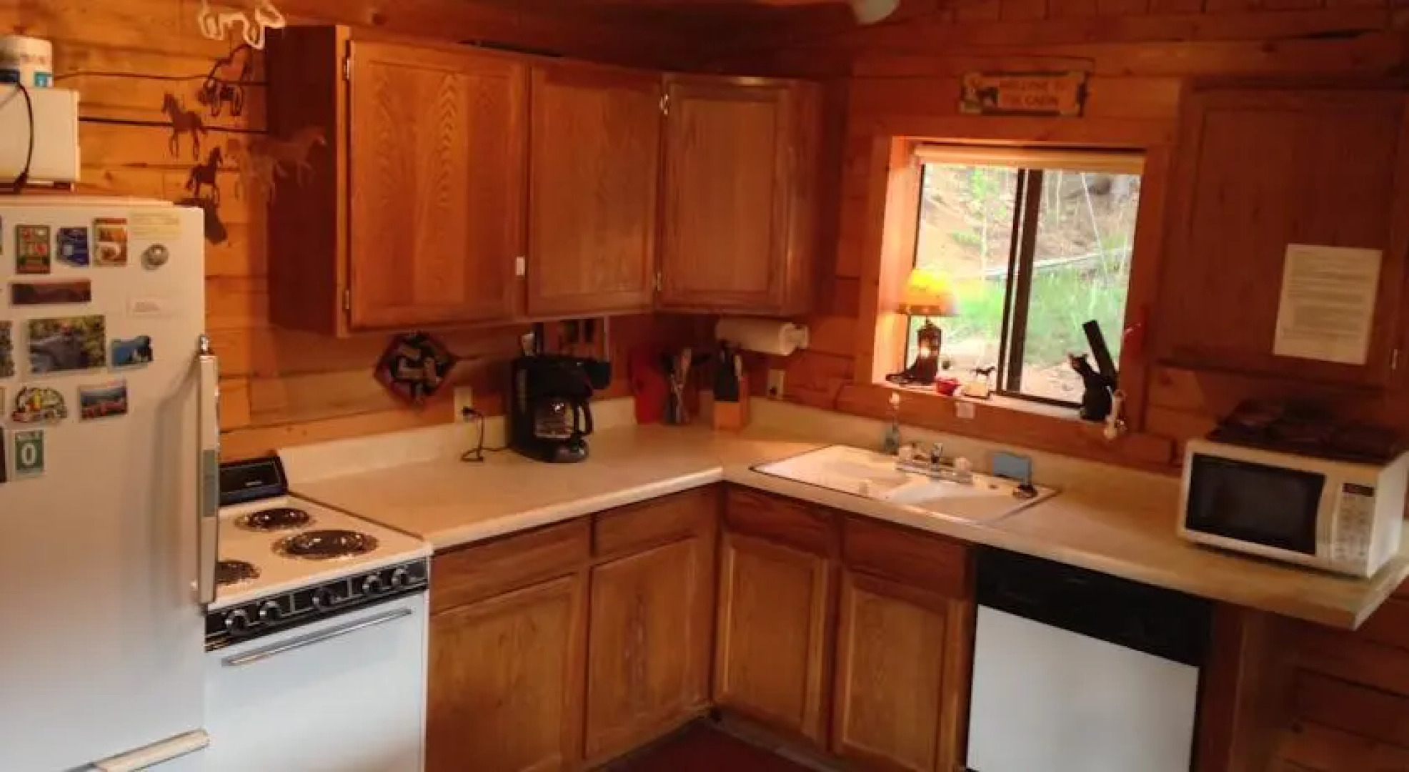 Deer Creek Log Cabin in Colorado