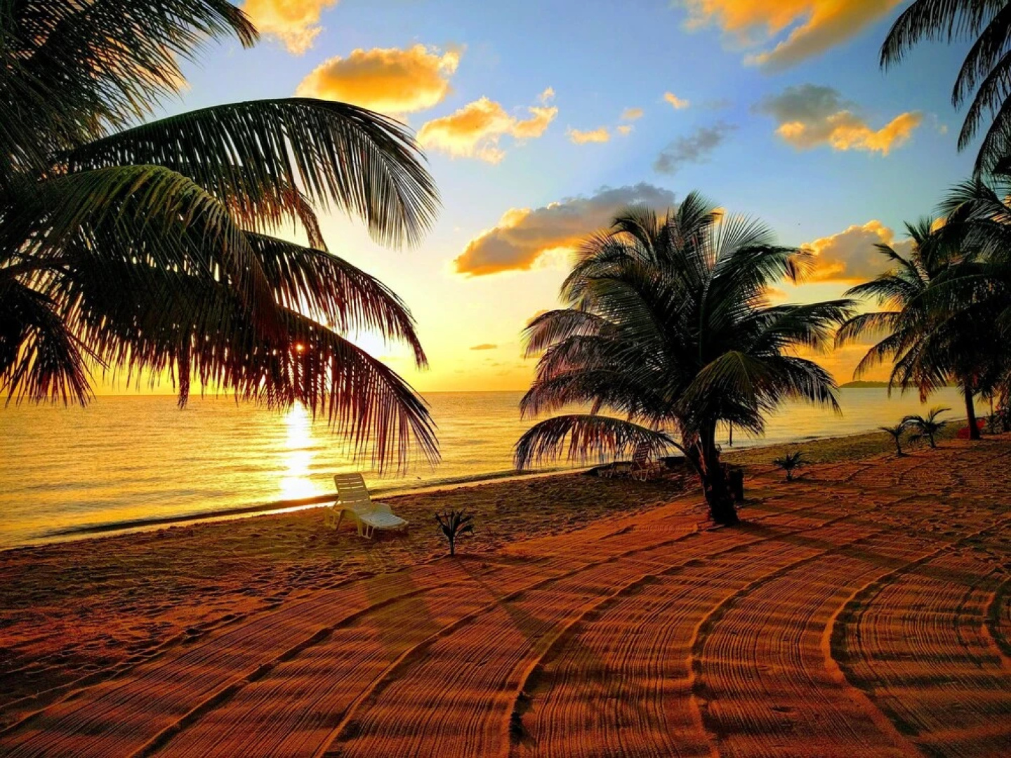 Jungle Jeanies Beach Cabanas