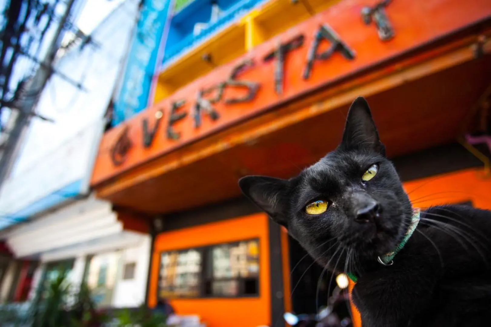 The Overstay Art Hostel