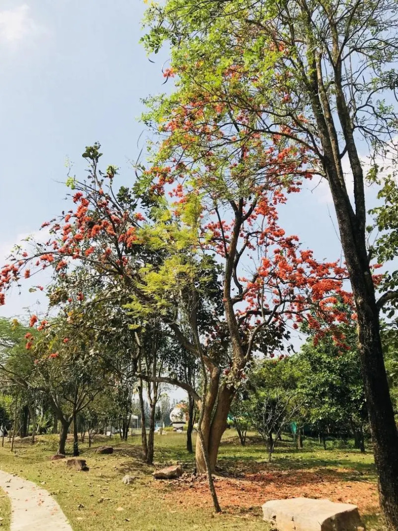 Suan Phueng Pa Wai Resort