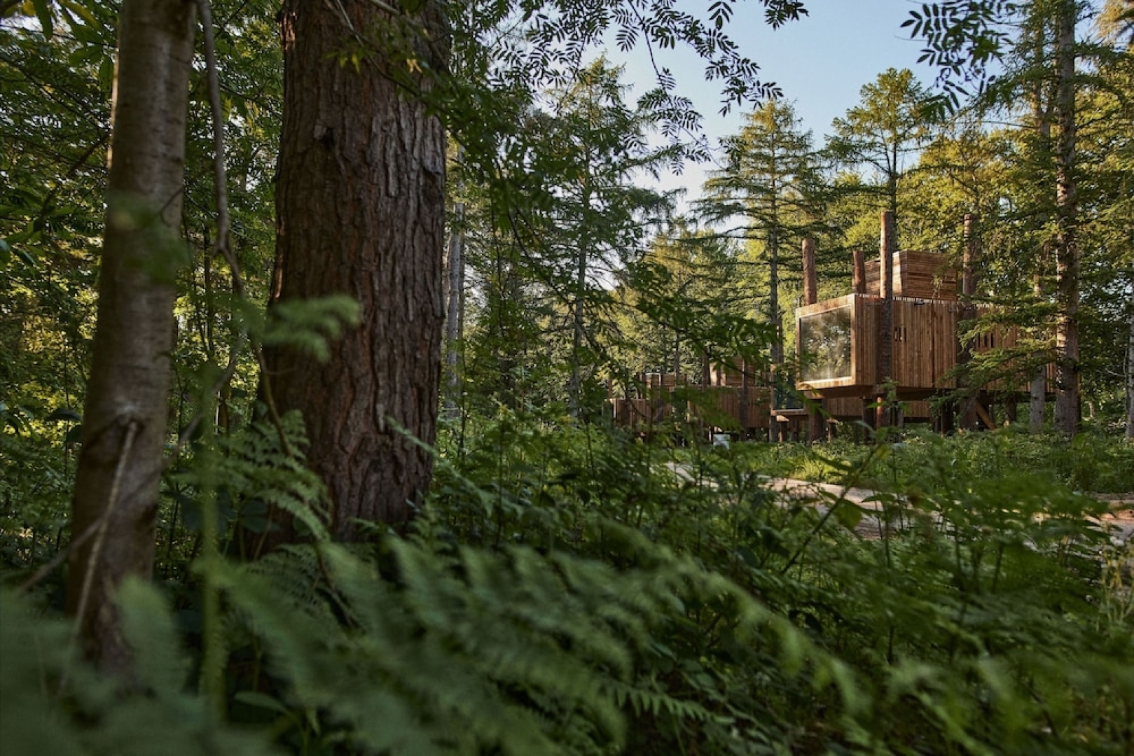 Treeloft Adventure in Nature for 4 People 13