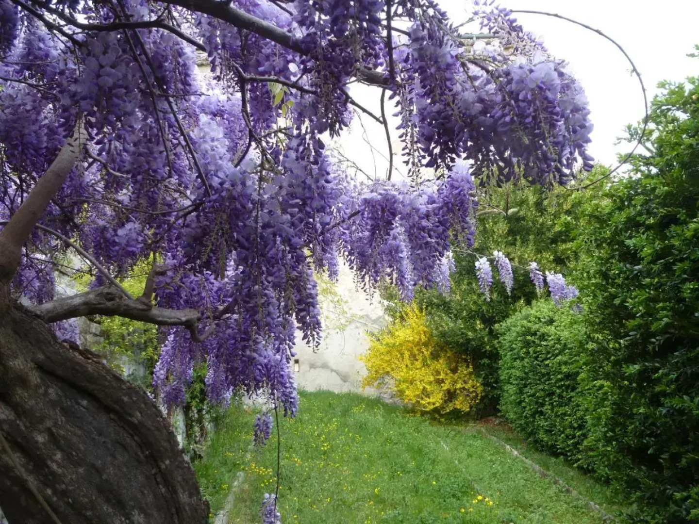 Chateau Notre Dame de Sausses