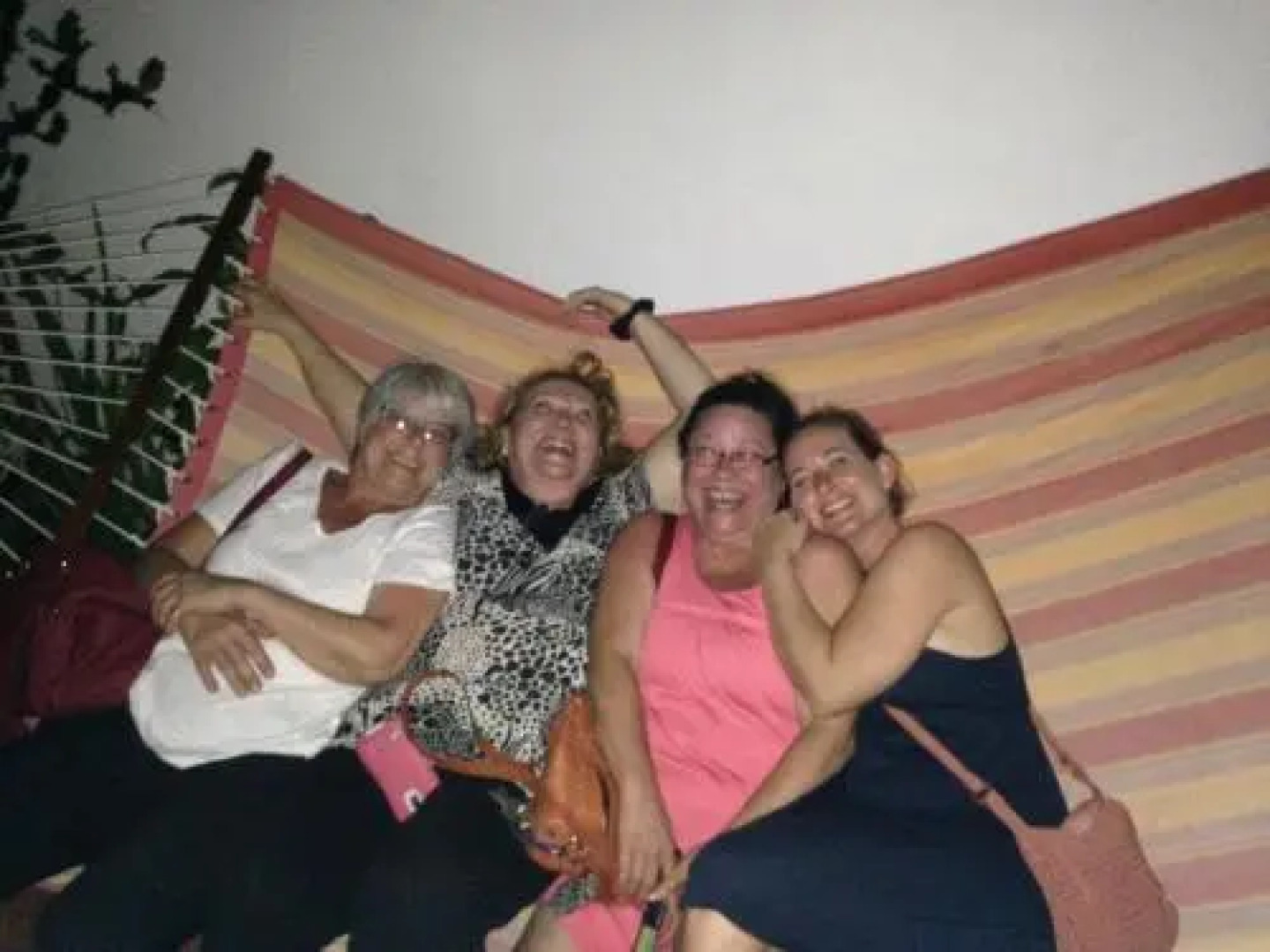 Coconut Palms Inn On The Beach