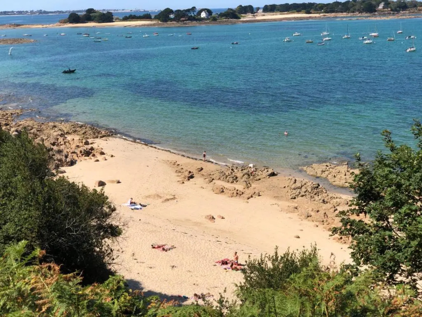 Appartement vue mer à 100m de la plage au centre de Carantec