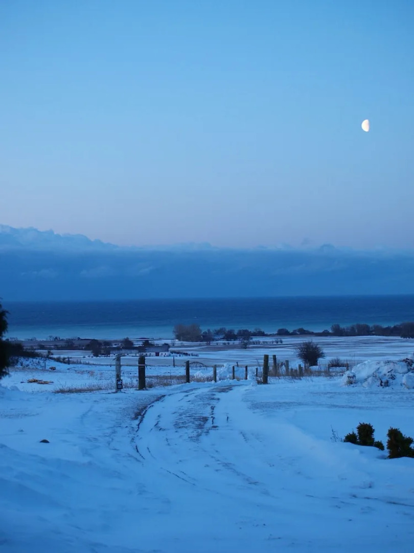 Bakkegaard Møns Klint