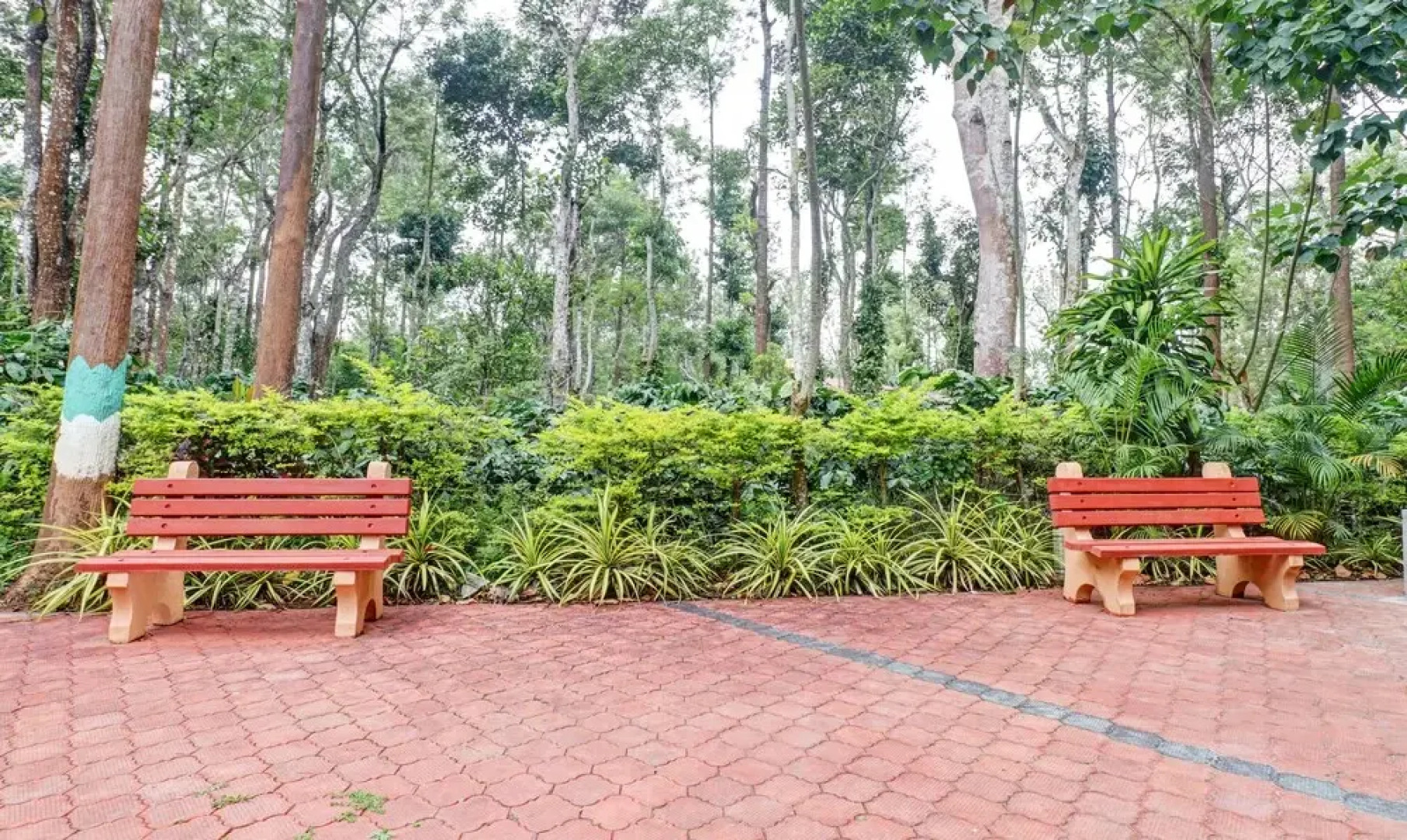 Itsy By Treebo - Manuvan Homestay