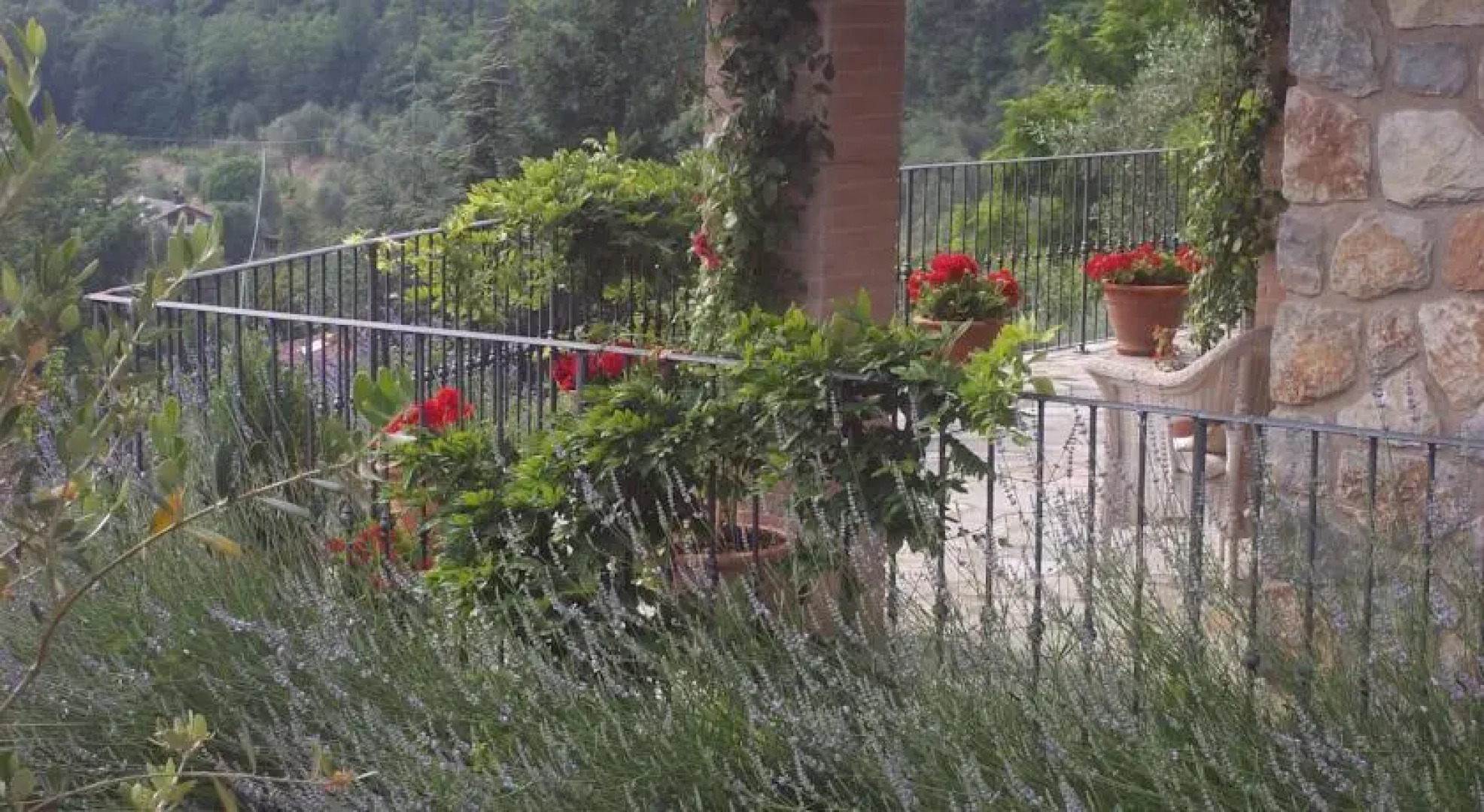 Villa Luna dellAntico Uliveto