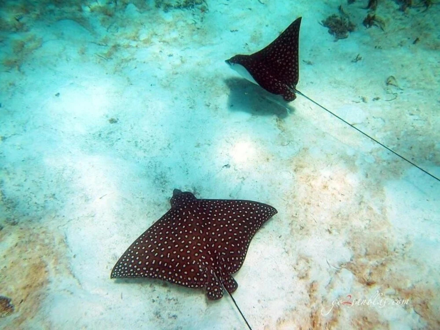 Catamaran en Kuna Yala