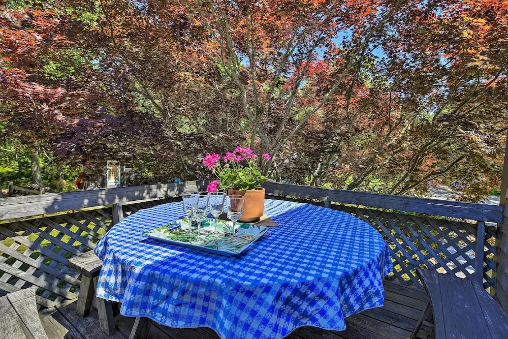 Coastal Cottage: Walk to Chipman's Cove!