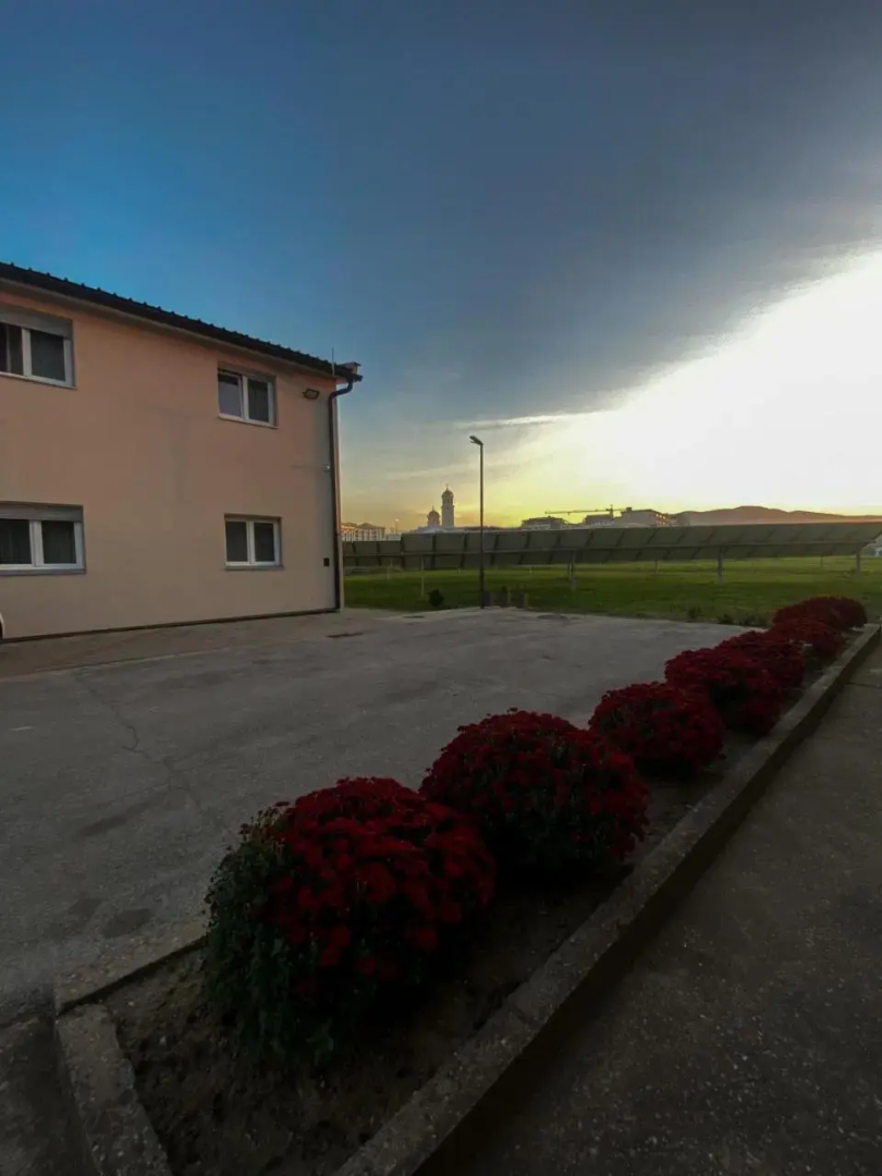 Plavi restoran, Loznica