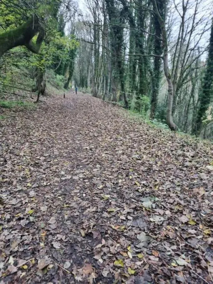 4 Bedroom Detached Holiday Home with Hot Tub