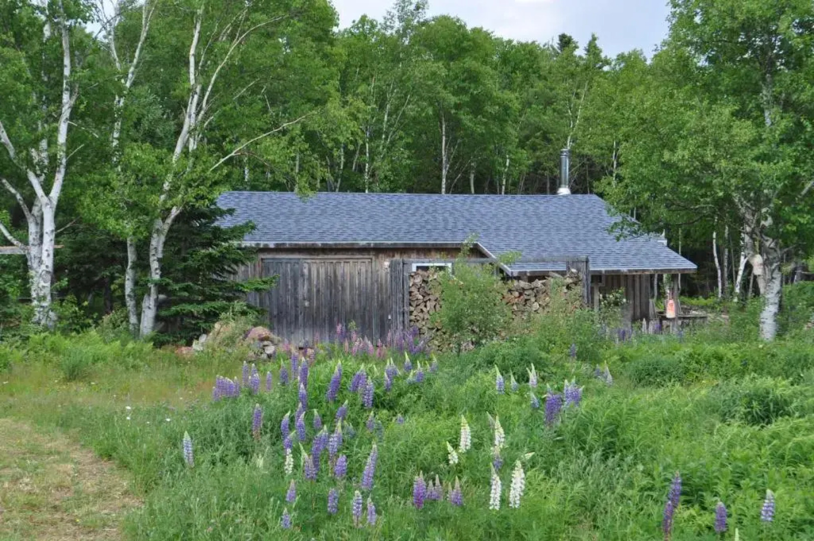 The Dancing Moose Cafe