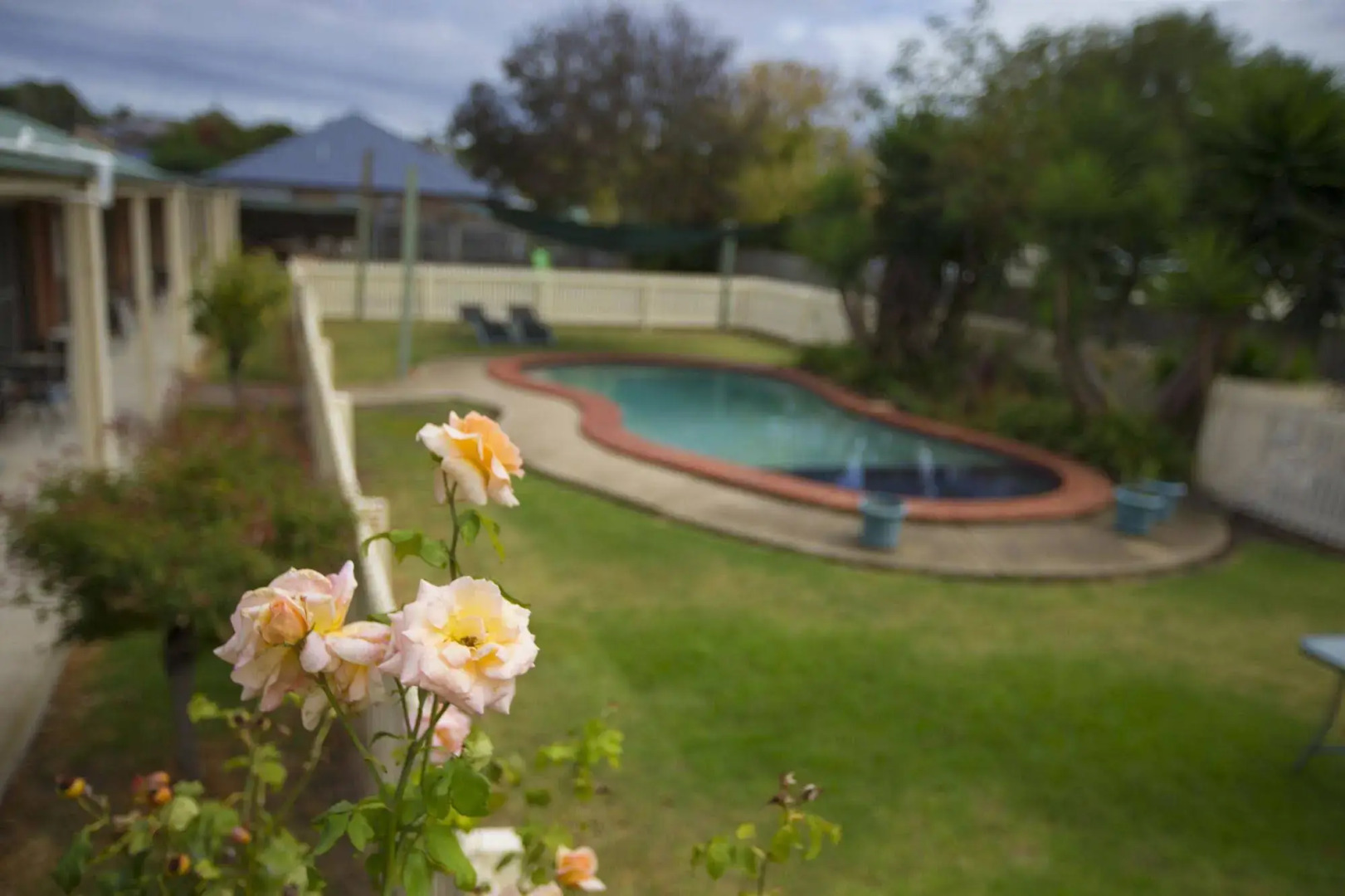 Rose Garden Motel