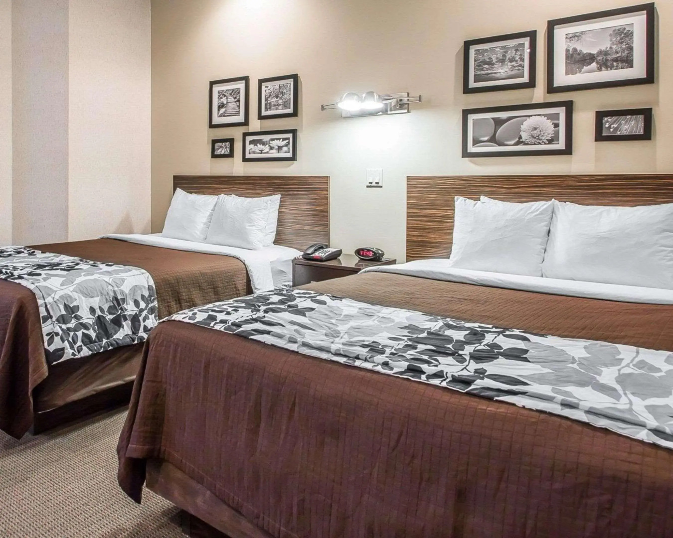 Sleep Inn & Suites Green Bay South