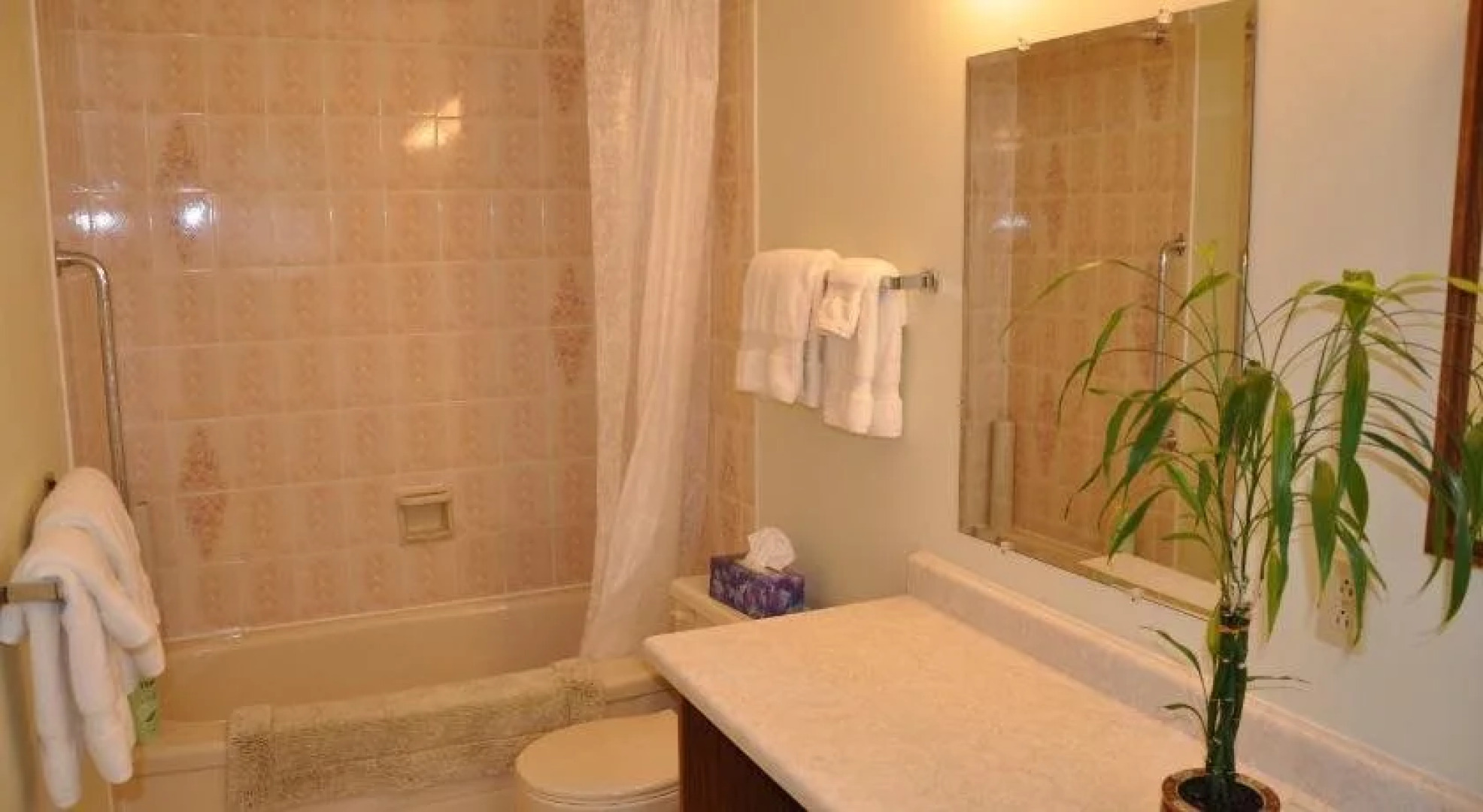 Stafford House Bed & Breakfast