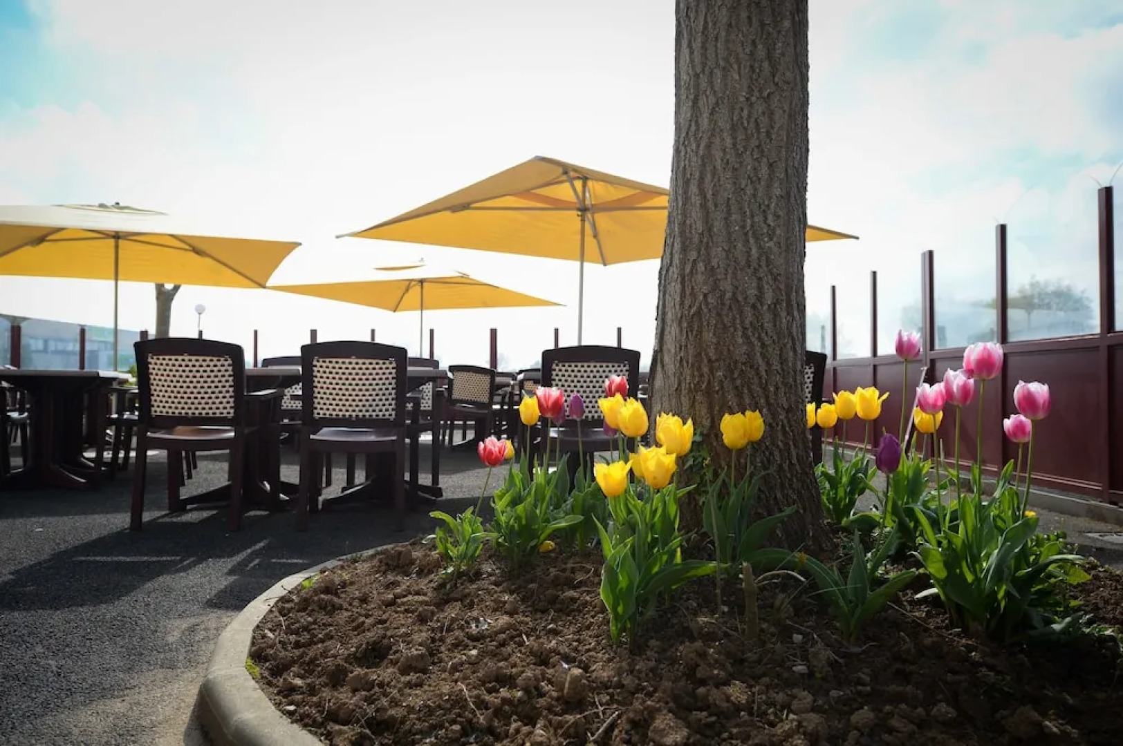 Hotel Le Sainte Mere