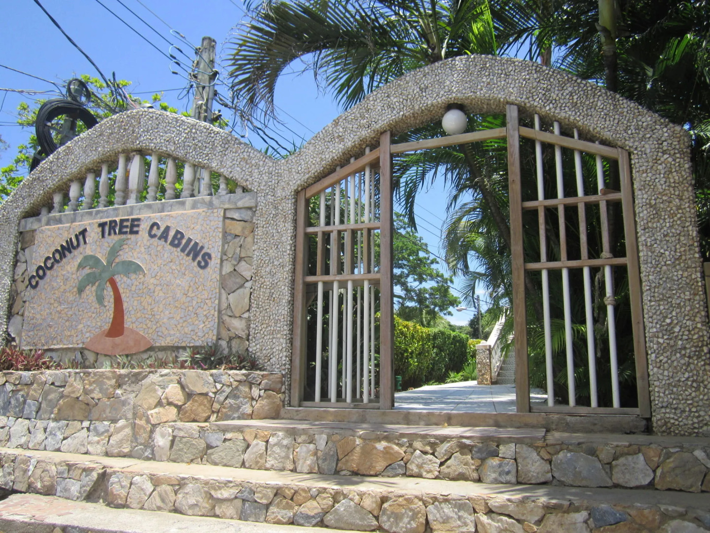 Coconut Tree West End