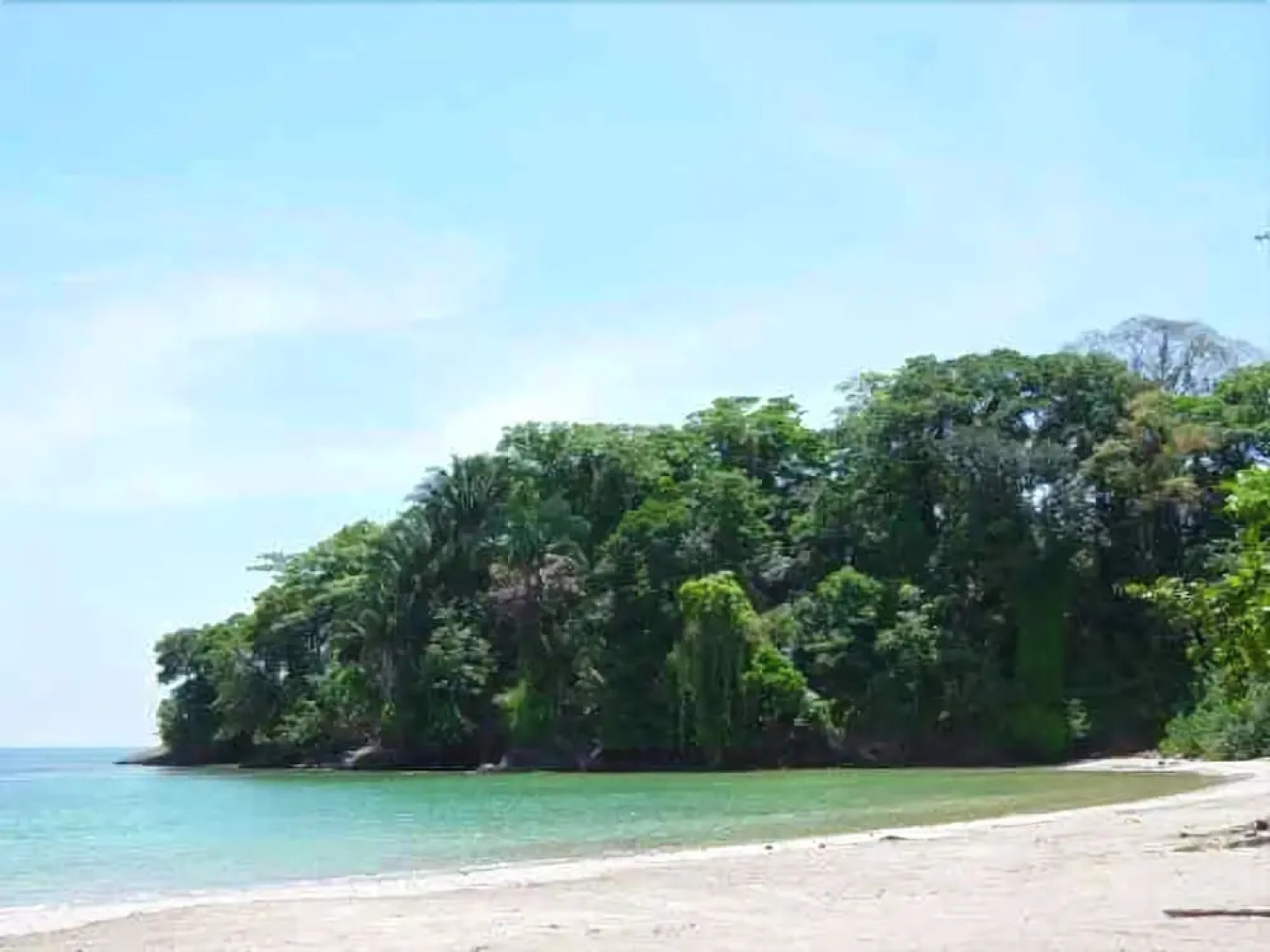 Samasati Yoga & Wellness Retreat