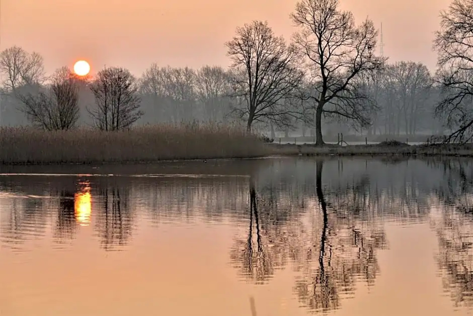 Lavendine Pure Relax Bed  Breakfast