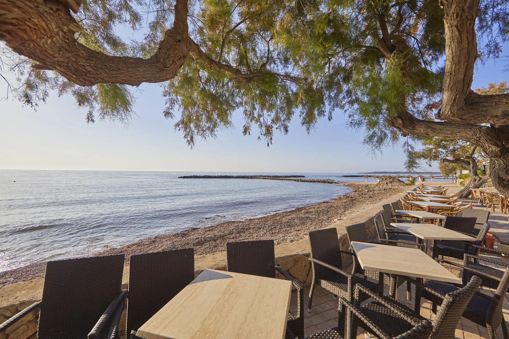 Hotel Ilusion Moreyo