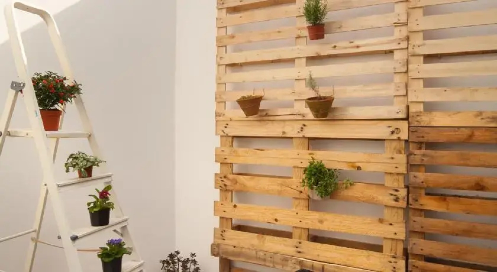 Embrace Évora hostel