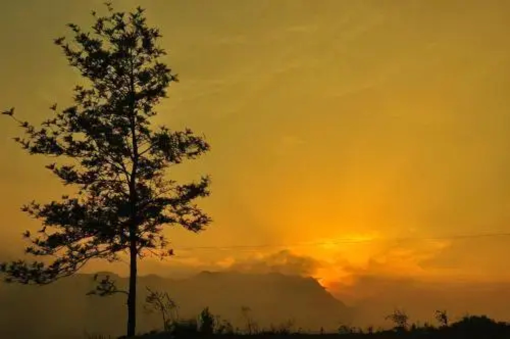 Green Palace Residency