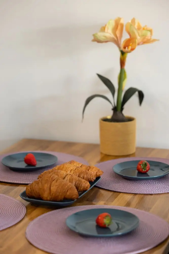 Pet-friendly Spadochroniarzy by Renters