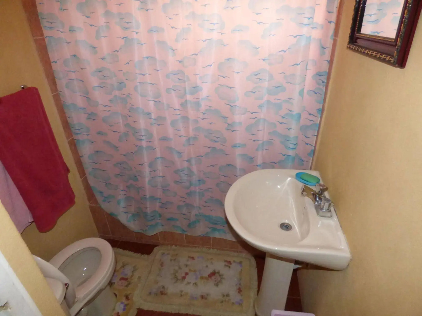 Little Shaw Park Guest House