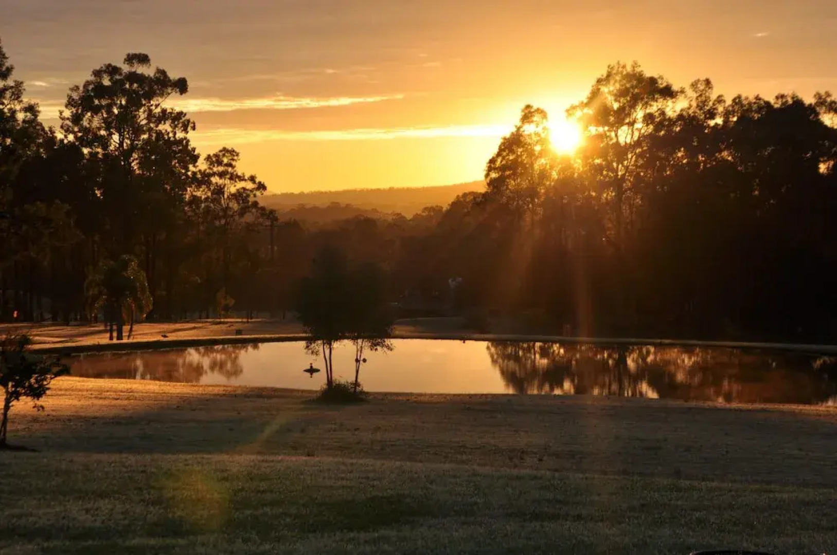 Woolshed Hill Estate