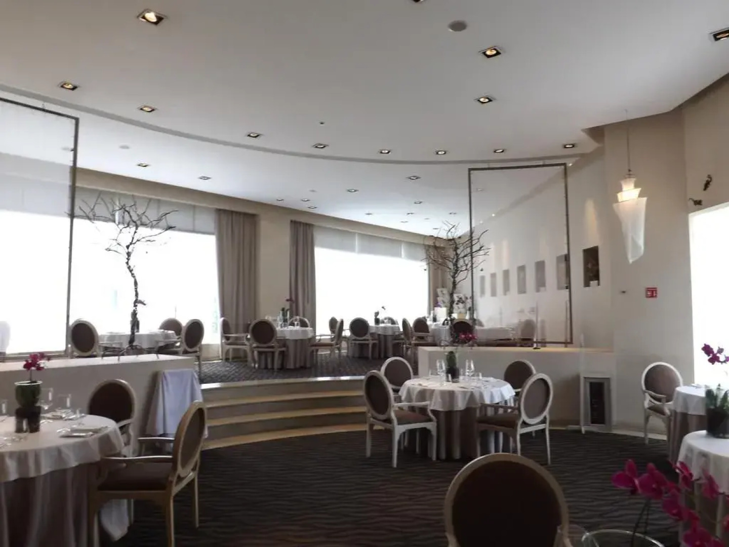 Royal Pedregal Hotel