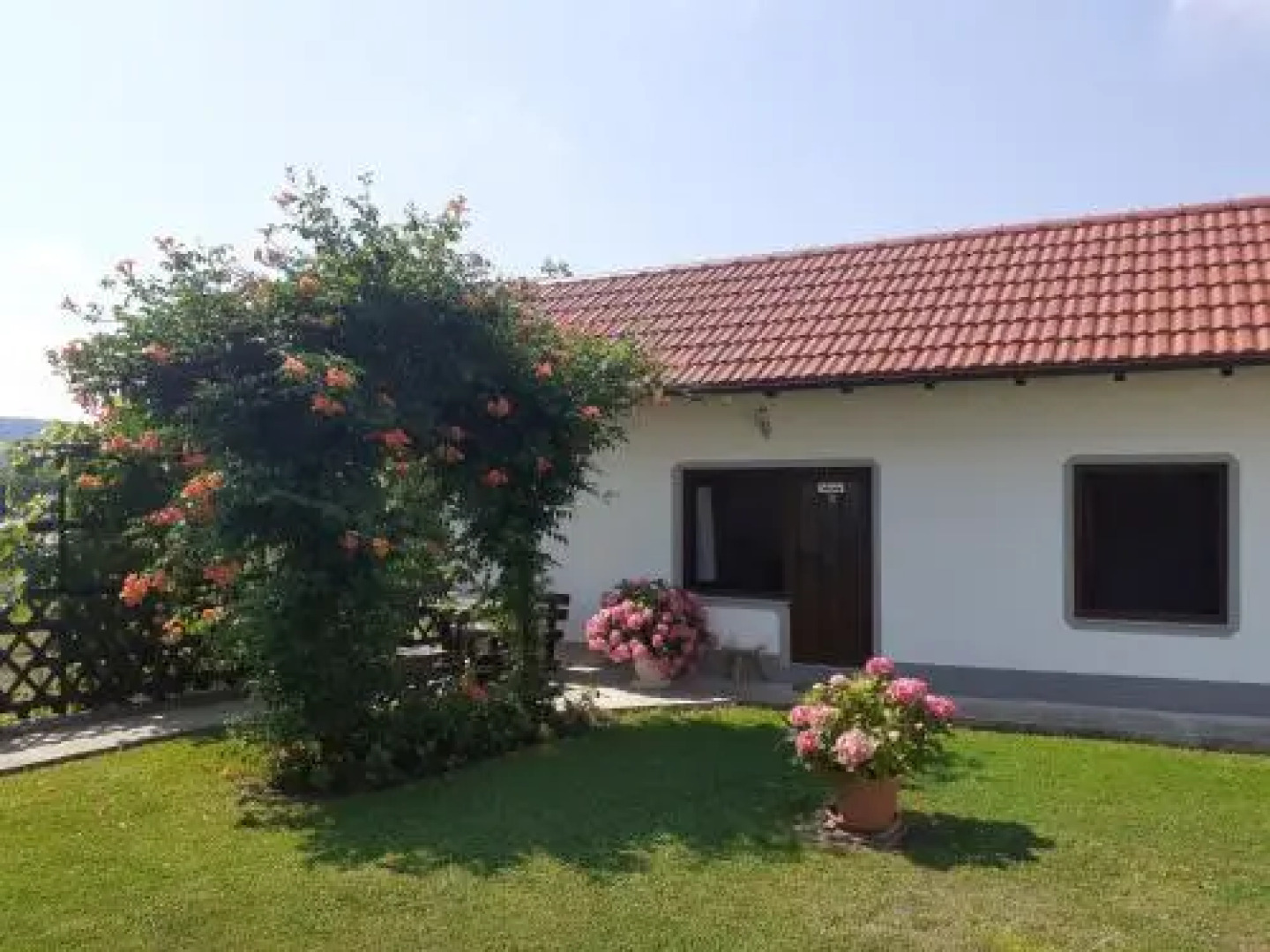 Apartment Petra i Nikola