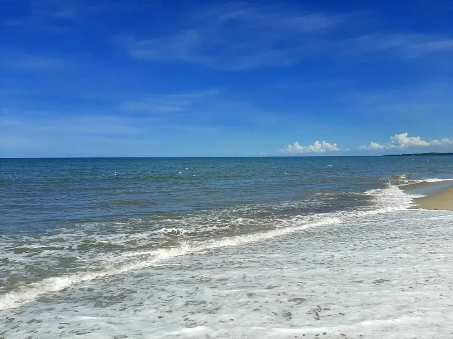 Ecogarden Cabañas Ecologicas