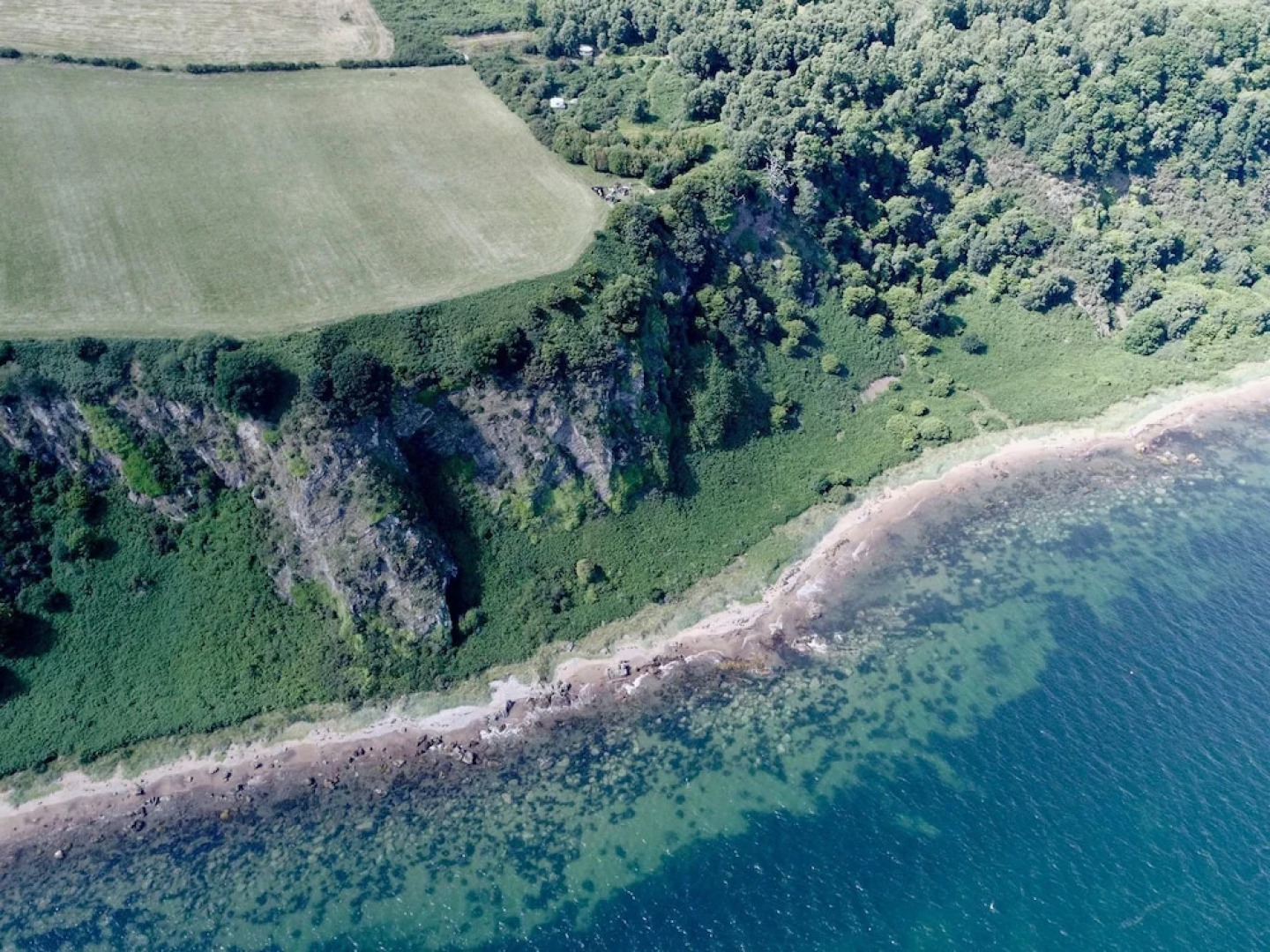 Aspen Yurt - Campsite