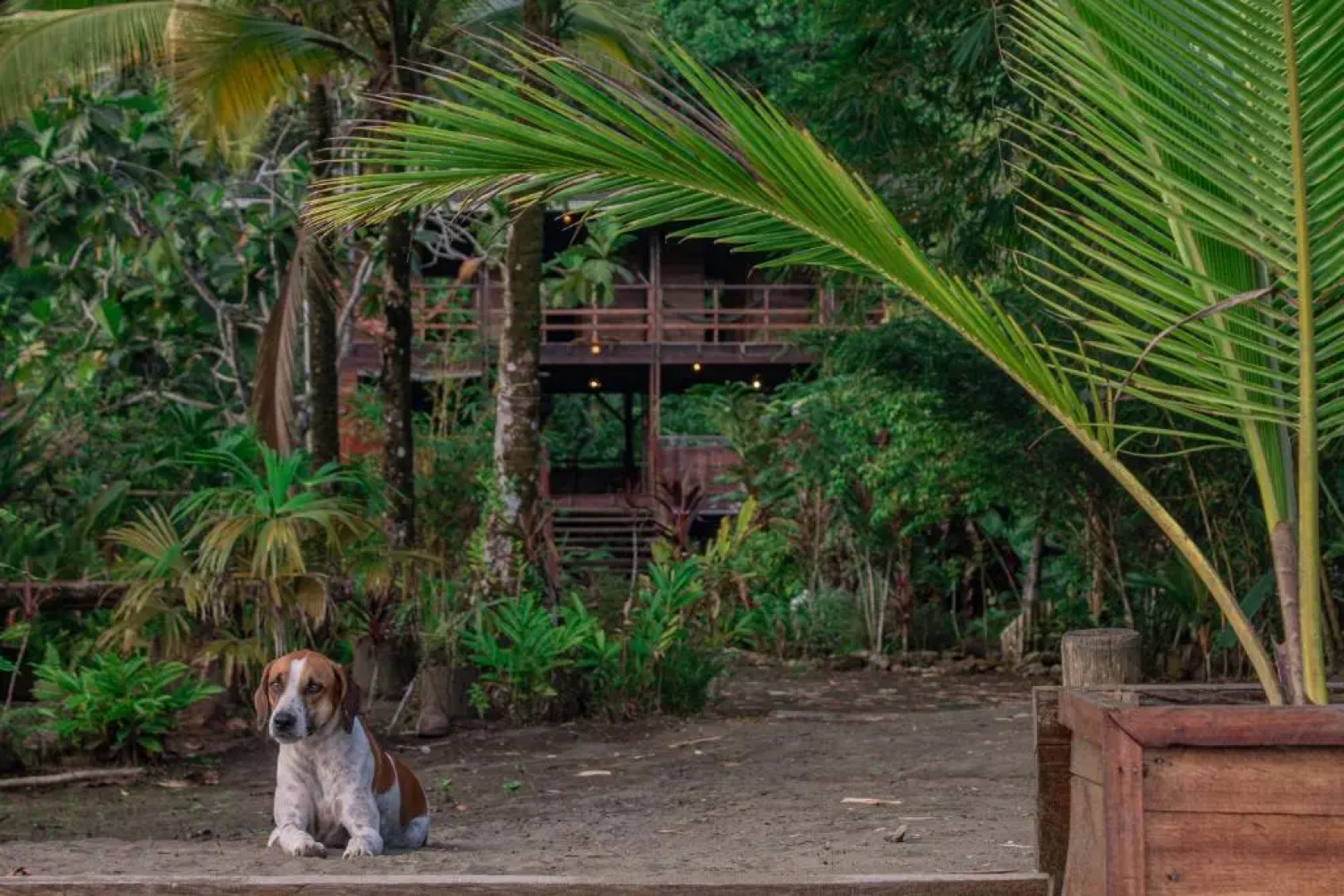 The Pelican House Hostel