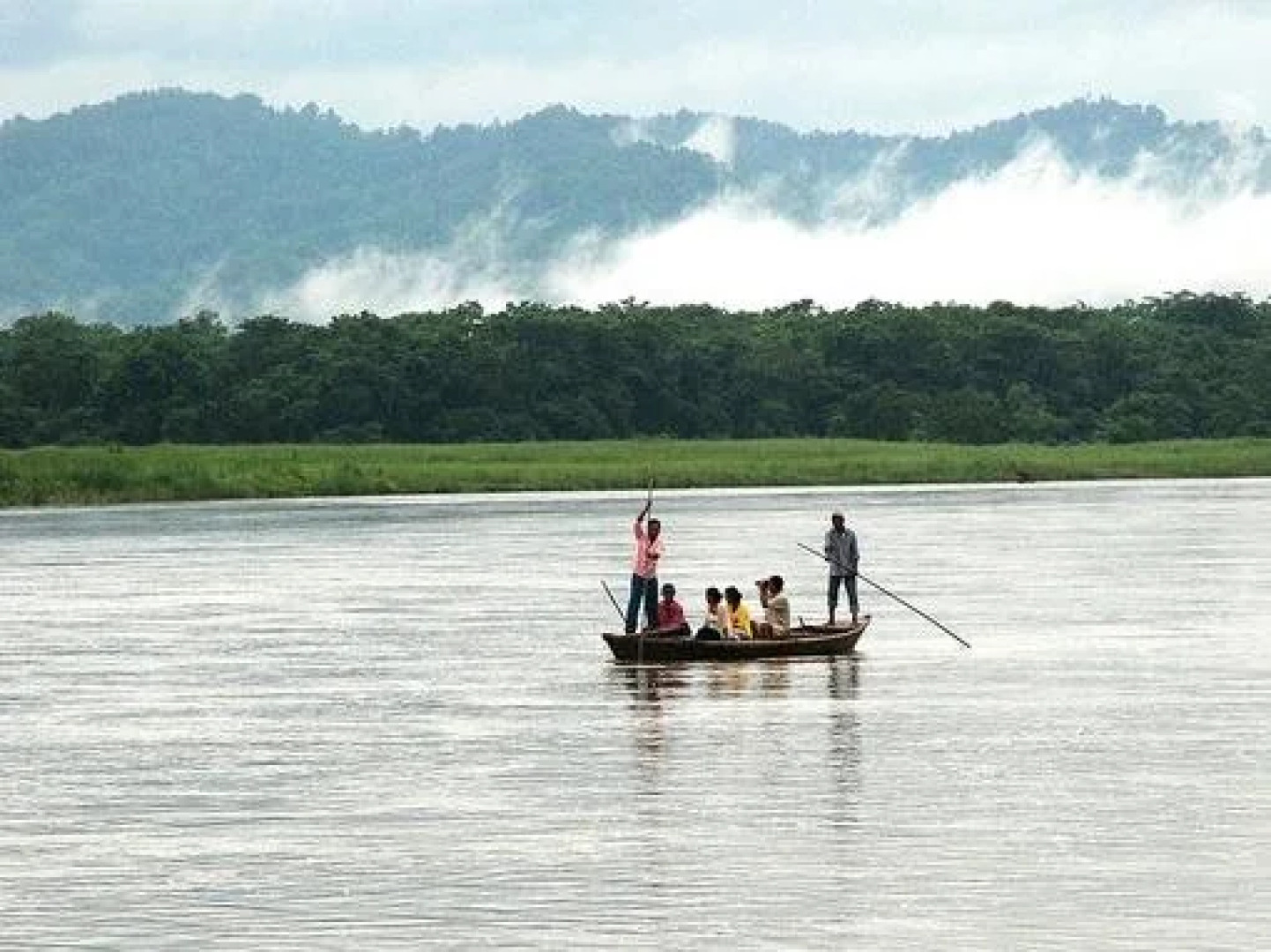Kingfisher Jungle Resort