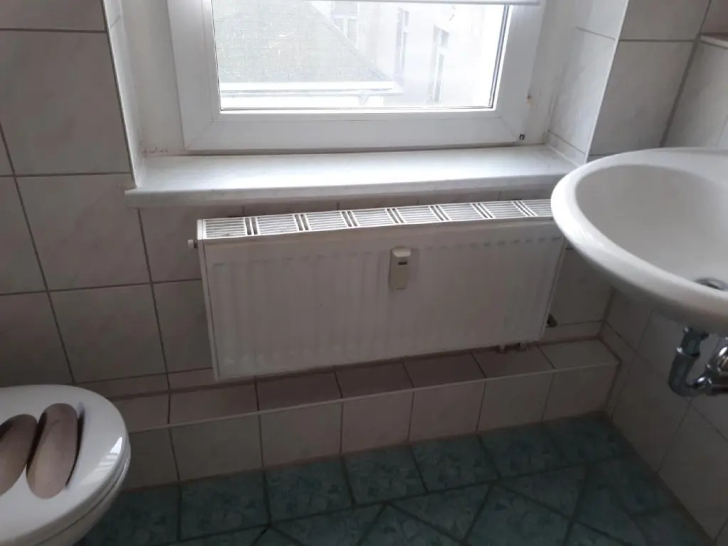 Vor den Toren Dresdens