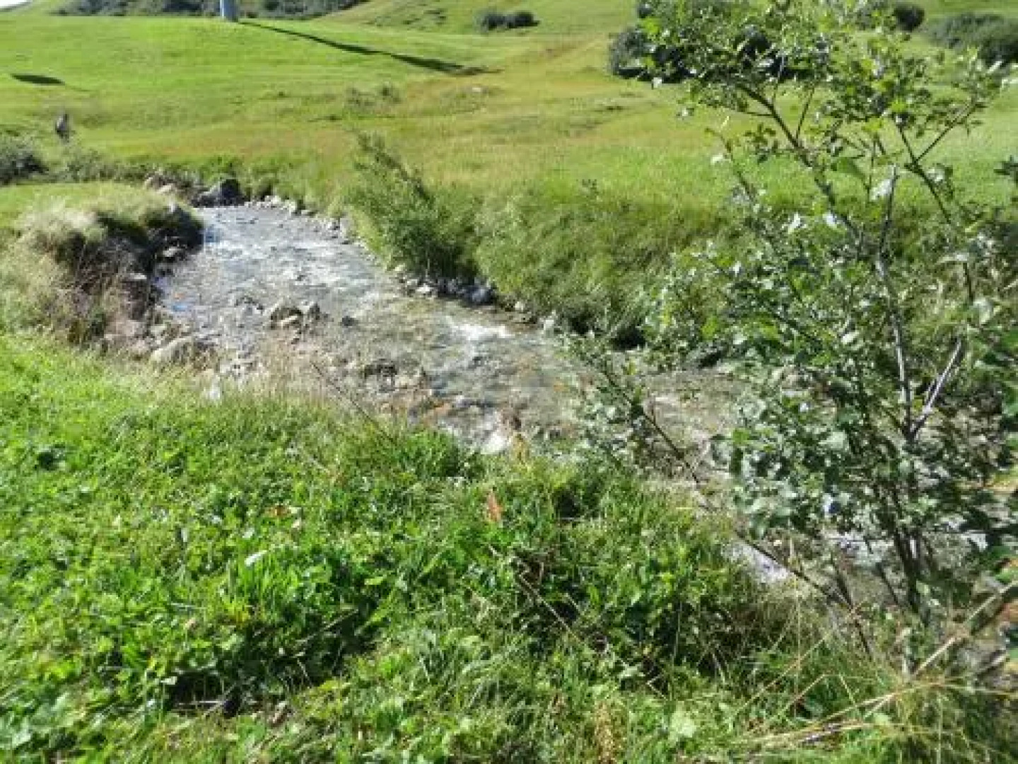 Jennys Ferienwohnungen