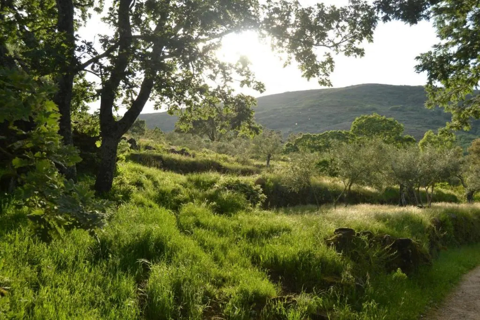 Casa Rural Las Fuentes de Ágata