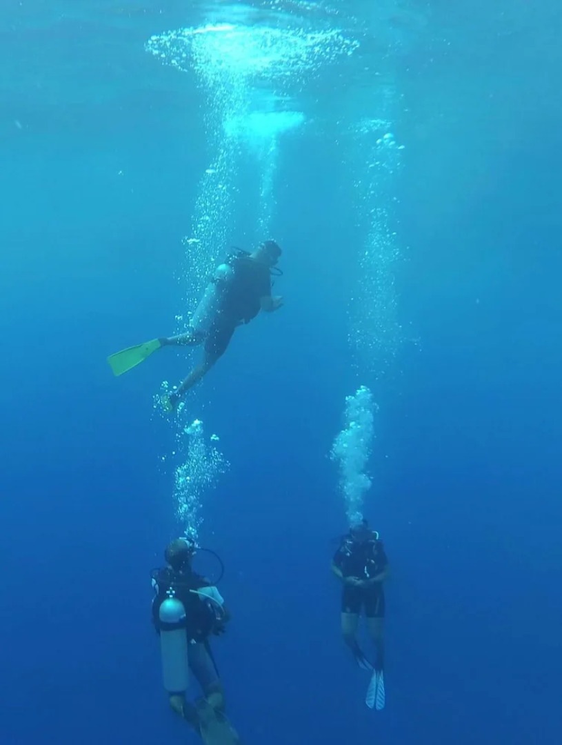 Rangiroa Tiputa Lodge B&B