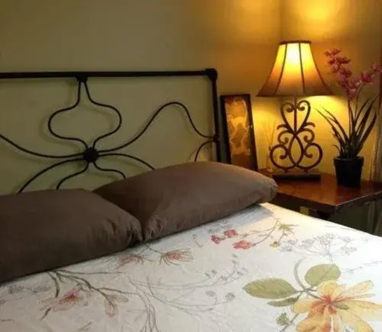 The Tropical Guesthouse