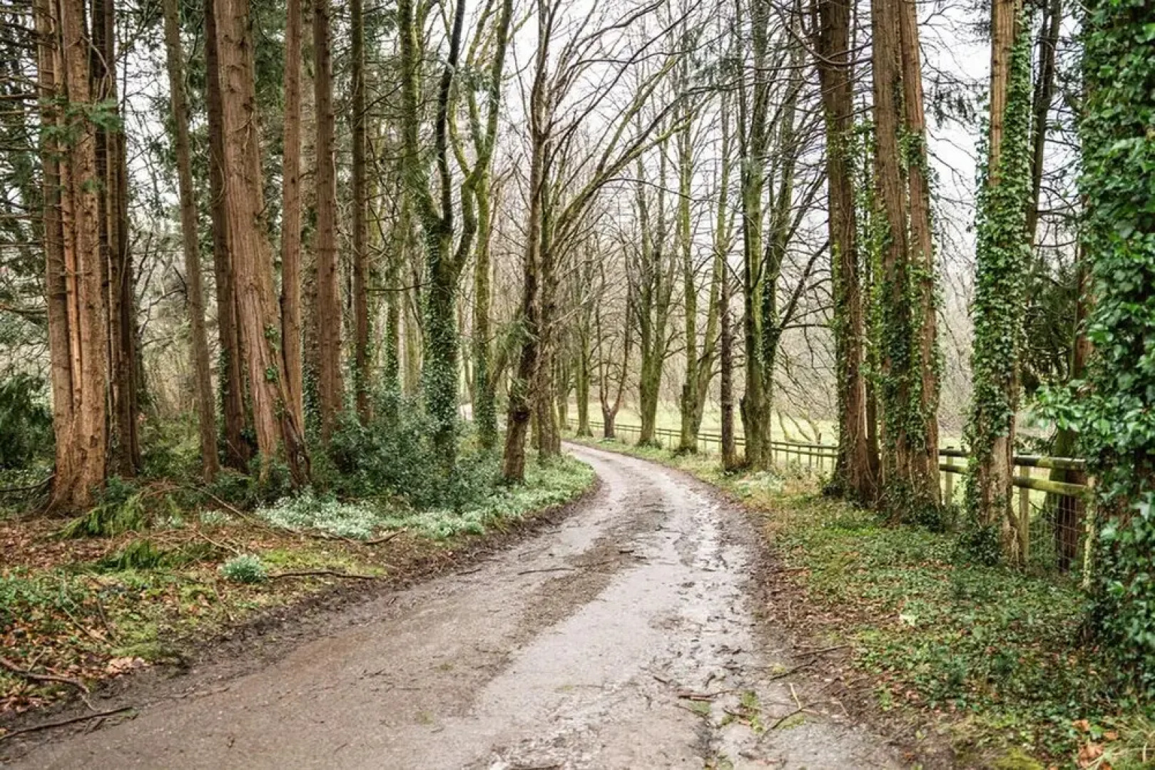 West Down Farm - B&B