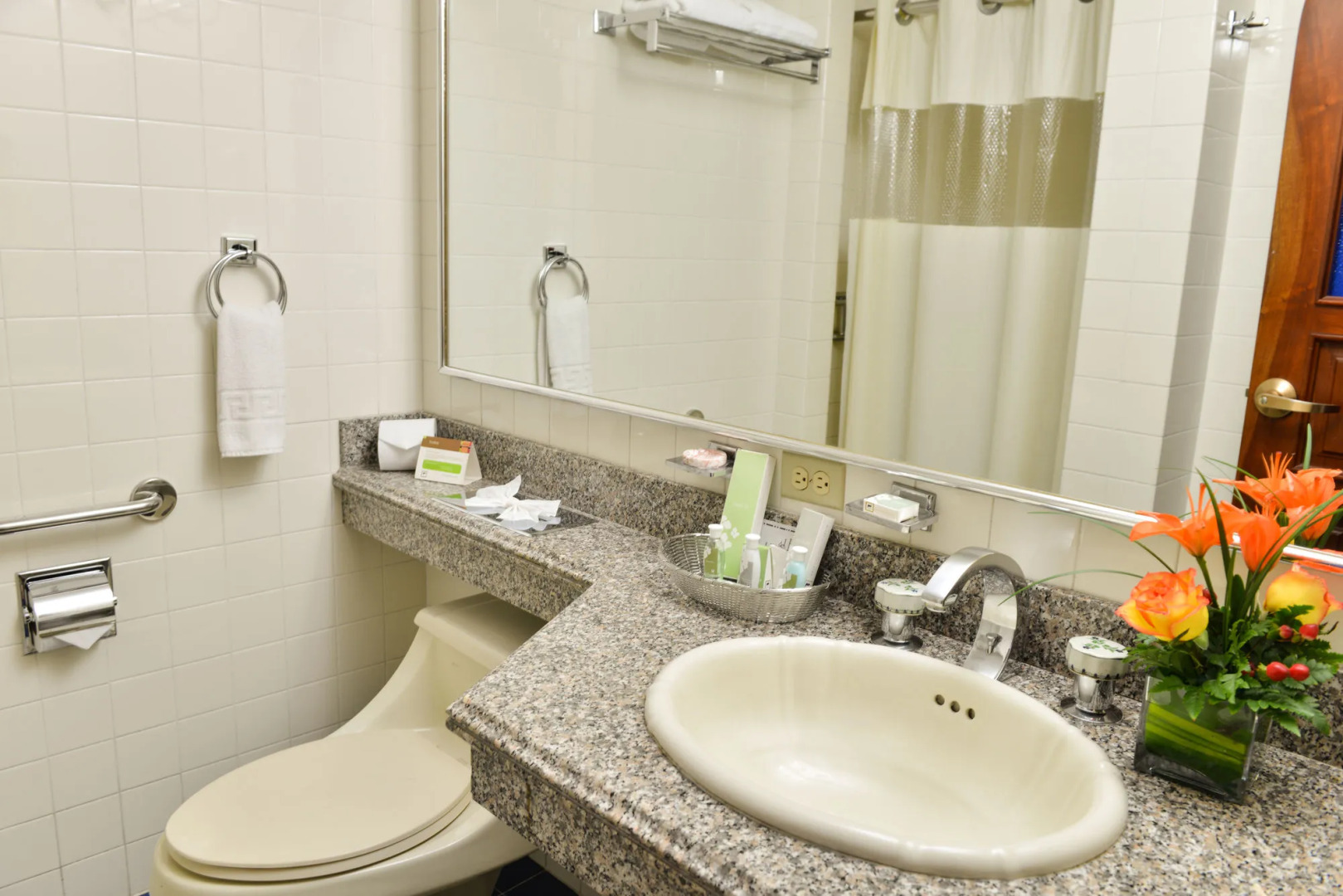 Hotel Plaza Del Libertador