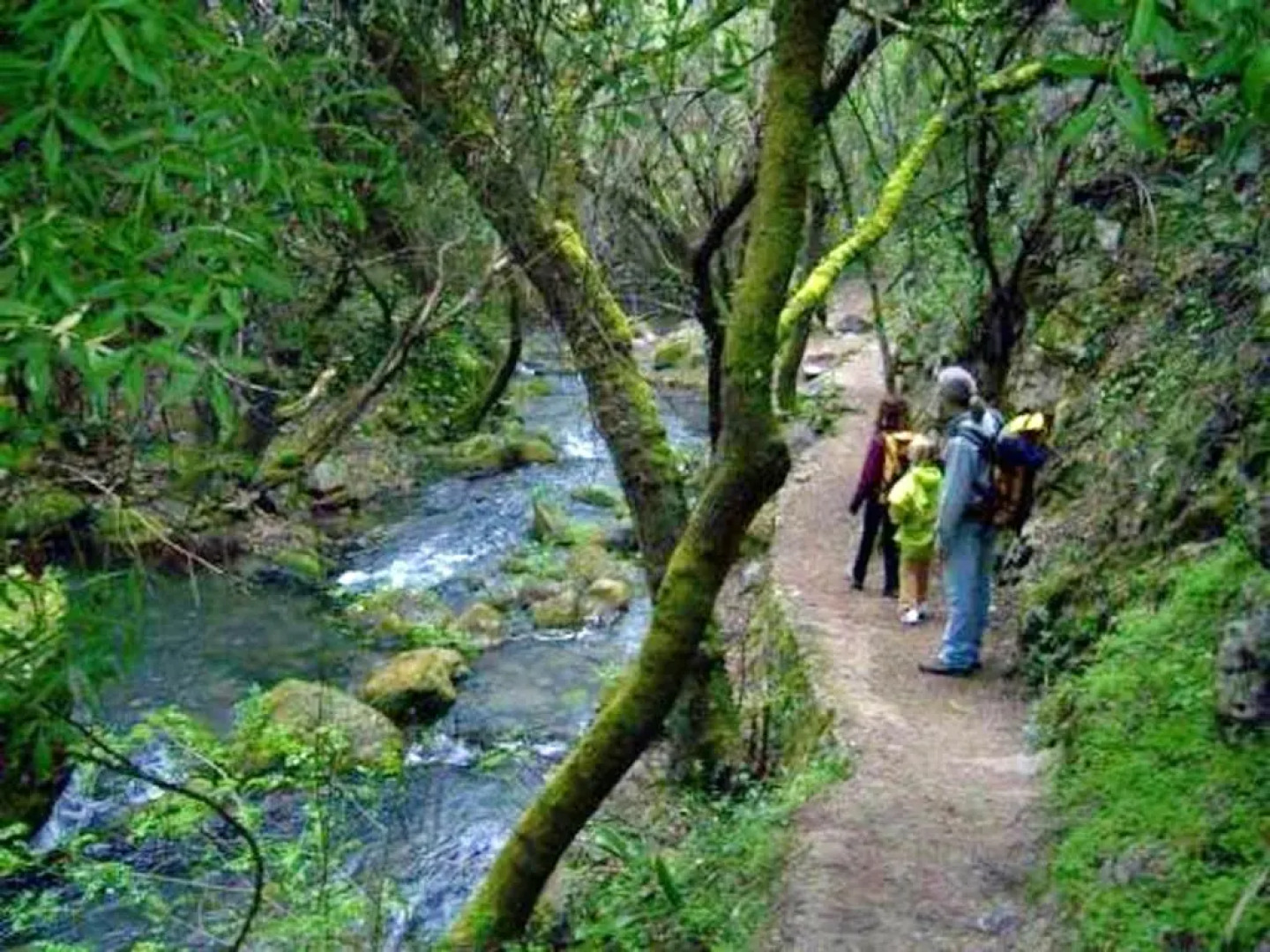 4 bedrooms chalet with private pool furnished terrace and wifi at Prado del Rey